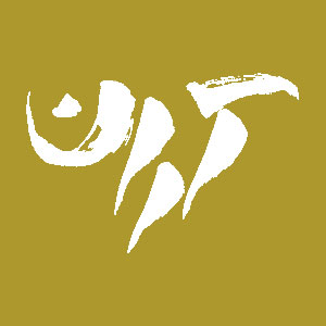 گالری آران میزبان ویدیو آرت علی‌یار راستی